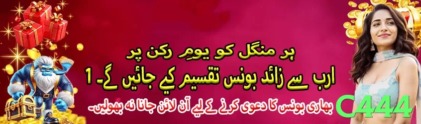 c444 interface sample - 3